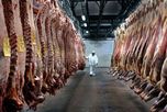Los que están en problemas son los frigoríficos y sobre todo los exportadores. Los que están en problemas son los frigoríficos y sobre todo los exportadores.