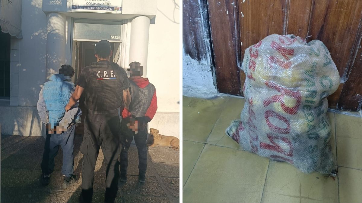 Treparon un tapial en barrio Scarafía, se afanaron una bolsa con limones y terminaron presos