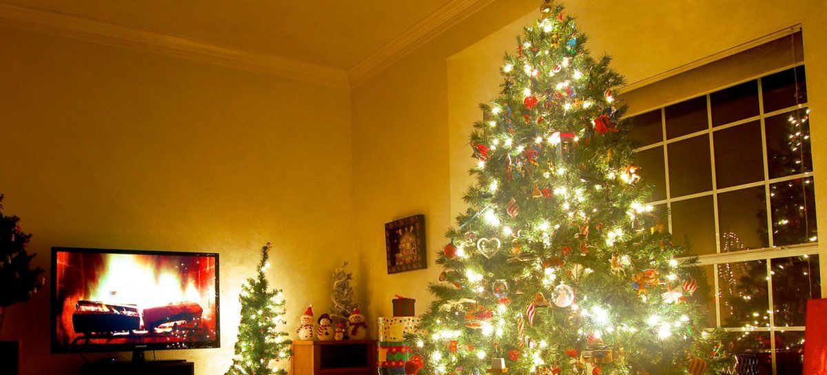 Árbol de Navidad: por qué recomiendan poner las luces en vertical y no alrededor