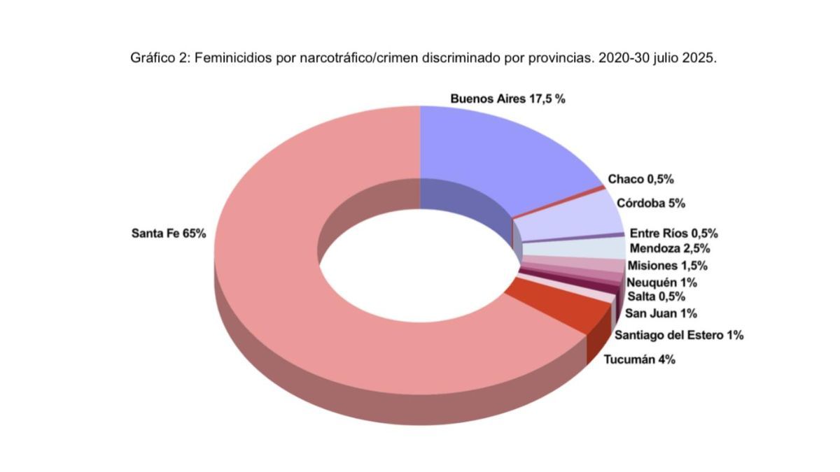 De 12 de las provincias de Argentina, el 65% de femicidios en contexto de narcotráfico pertenece a la provincia de Santa Fe. De 12 de las provincias de Argentina, el 65% de femicidios en contexto de narcotráfico pertenece a la provincia de Santa Fe.