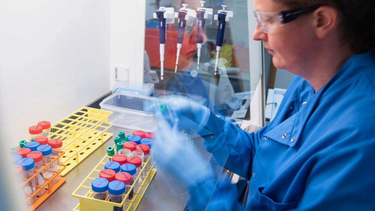 Los primeros en recibir la vacuna de Oxford serían los adultos mayores