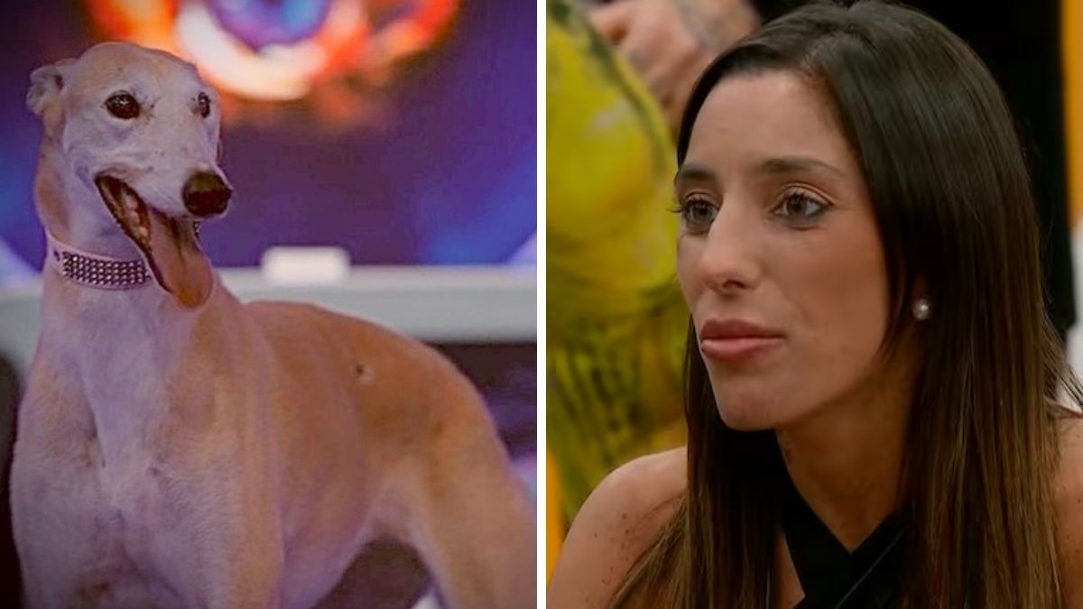 Catalina Gorostidi hizo un preocupante comentario sobre Paris.