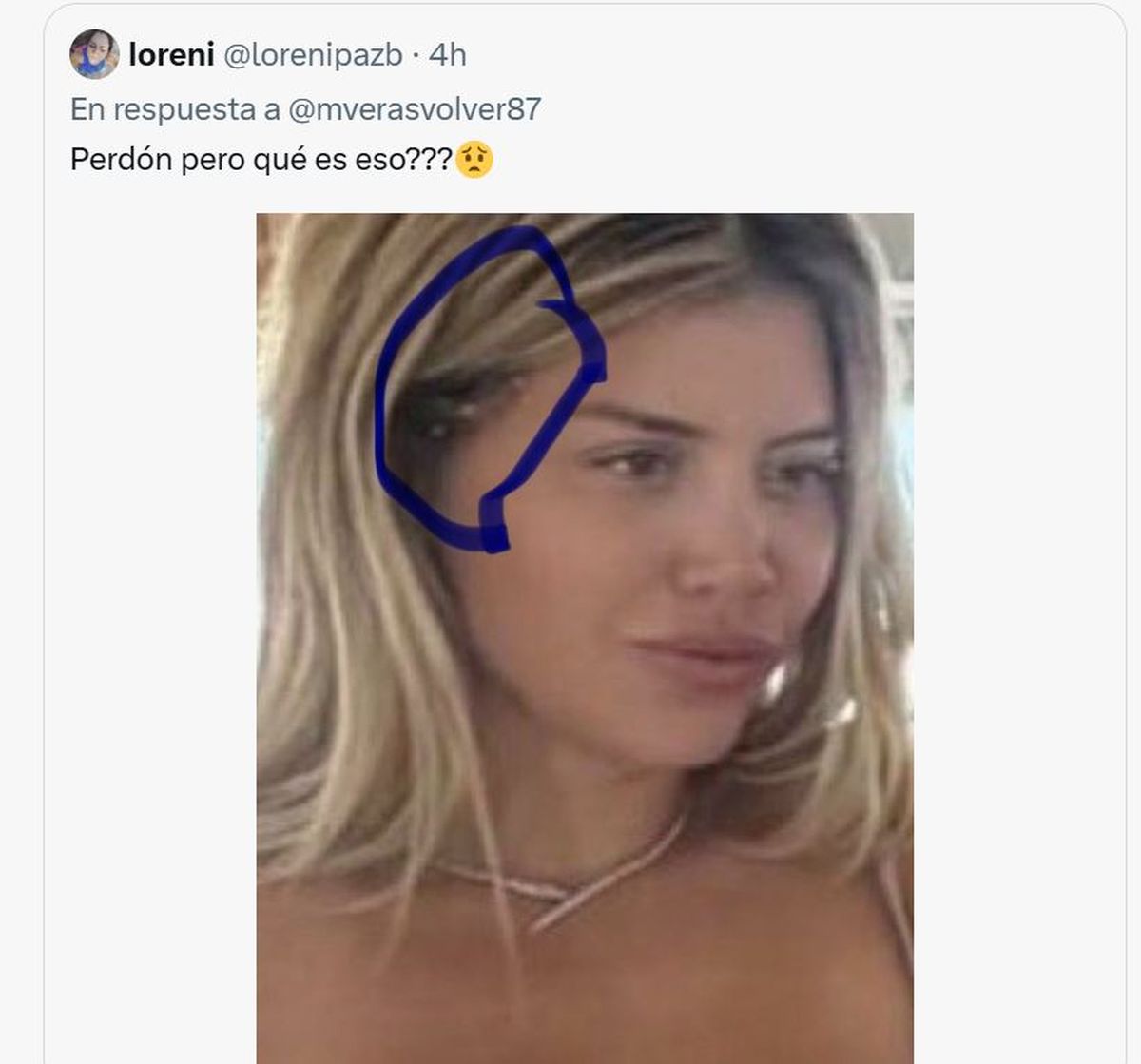 Wanda Nara apareció con algo raro en el pelo.