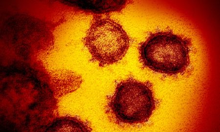 asi puede extenderse por el cuerpo y matar el coronavirus asi puede extenderse por el cuerpo y matar el coronavirus