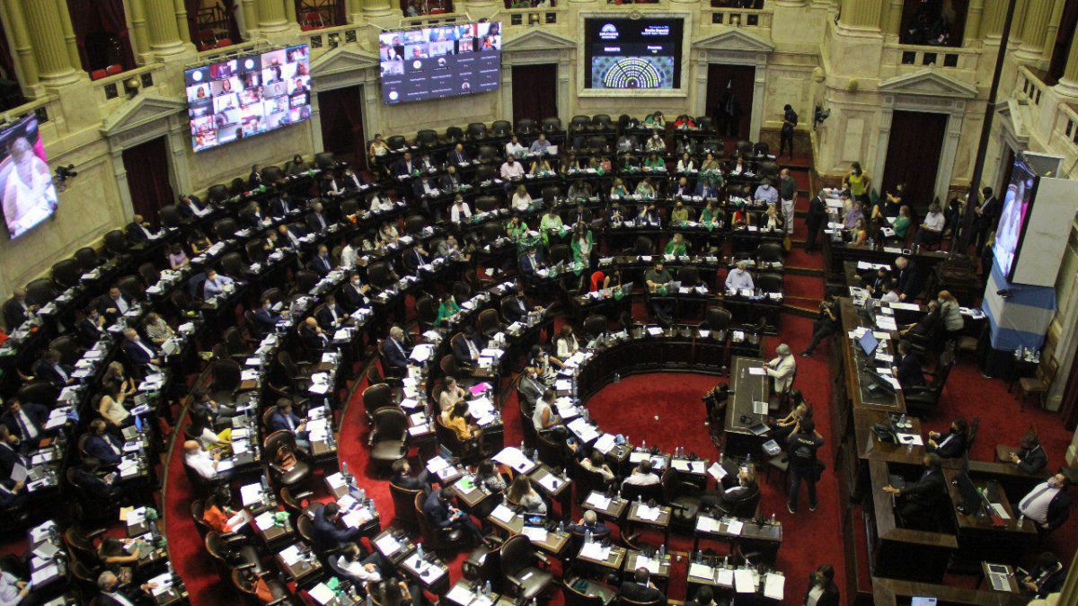 Este viernes los diputados dieron media sanción al aborto legal. Luego