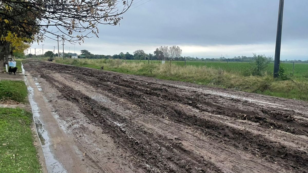 Así se encuentra calle Facundo Quiroga en barrio Punta Norte. Así se encuentra calle Facundo Quiroga en barrio Punta Norte.