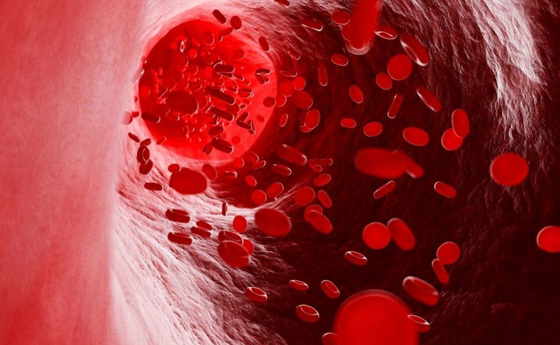 Alimentos ricos en hierro para combatir la anemia