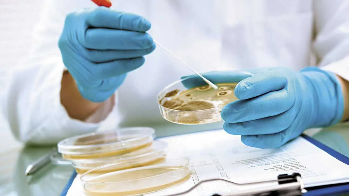 Detectan y contienen brote de una bacteria resistente a todas las drogas en Argentina
