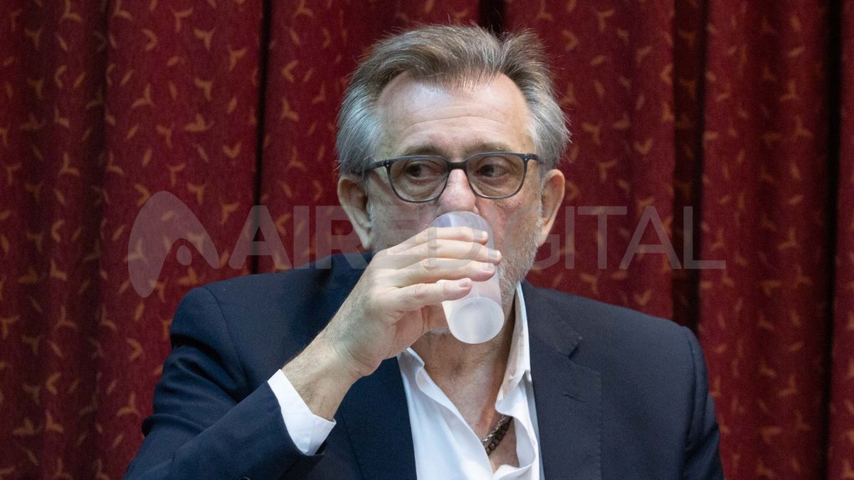 Sed de justicia. Lerche presenció el juicio desde su casa y solo estuvo en los alegatos de apertura.&nbsp;