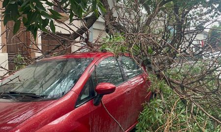 tormenta en santa fe: la epe informo que se encuentra normalizado el servicio tormenta en santa fe: la epe informo que se encuentra normalizado el servicio