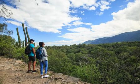 La Quebrada de La Cébila sorprende con su vegetación selvática y cerros imponentes. La Quebrada de La Cébila sorprende con su vegetación selvática y cerros imponentes.