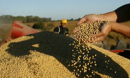chau retenciones: que pasaria en 10 anos con la produccion, las exportaciones y la caja del estado chau retenciones: que pasaria en 10 anos con la produccion, las exportaciones y la caja del estado