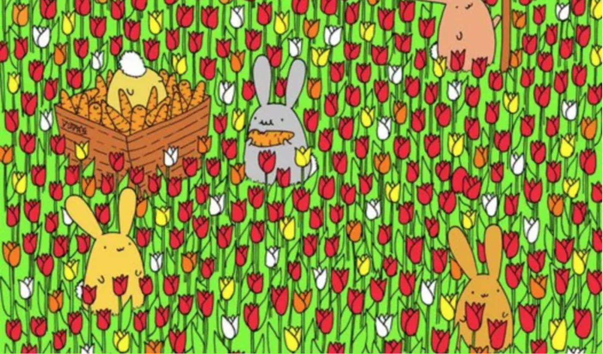 RETO VISUAL nivel PRO: solo el 3% encontró el huevo escondido ¡en 5 segundos!