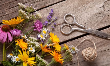 decoracion navidena: paso a paso para hacer una corona con flores de tu jardin decoracion navidena: paso a paso para hacer una corona con flores de tu jardin