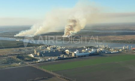 Incendios en la zona de islas frente a Puerto Gaboto, en el sur de la provincia de Santa Fe. Incendios en la zona de islas frente a Puerto Gaboto, en el sur de la provincia de Santa Fe.