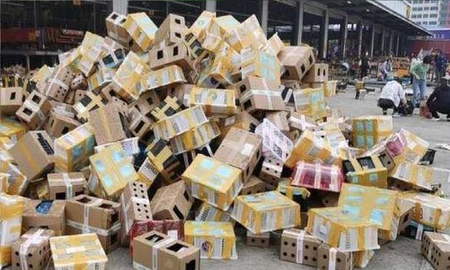 Horror en China: hallaron 5.000 mascotas muertas en cajas de cartón Horror en China: hallaron 5.000 mascotas muertas en cajas de cartón