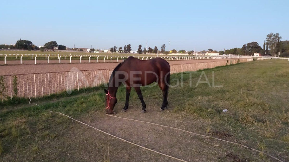 Los trabajadores temen que est&eacute; pr&oacute;ximo el cierre del Hip&oacute;dromo de Santa Fe