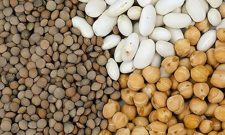 la calidad ya no alcanza para diferenciarse: ahora define si las legumbres argentinas siguen en los mercados la calidad ya no alcanza para diferenciarse: ahora define si las legumbres argentinas siguen en los mercados