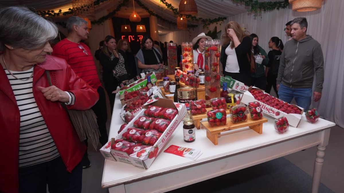 Productores locales exhiben las mejores frutillas de la región