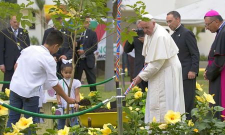 el papa francisco y su legado sobre la agroindustria: una critica al modelo productivo intensivo el papa francisco y su legado sobre la agroindustria: una critica al modelo productivo intensivo