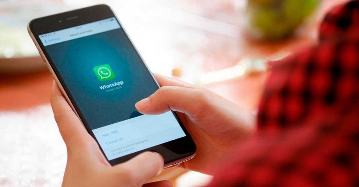 WhatsApp: descubrieron un virus que puede robar tu información personal.