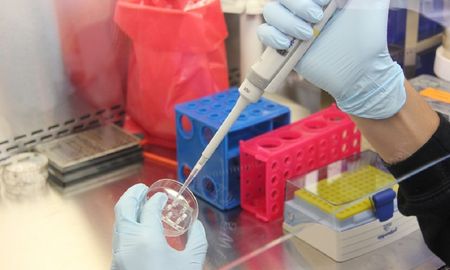 cientificos descubrieron en brasil un virus misterioso sin genes reconocibles