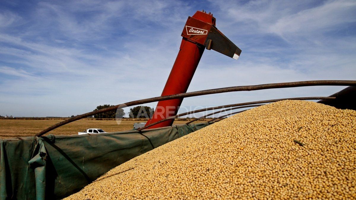 Entre Ríos espera una producción de 1.248.750 toneladas, 502.145 menos (29 por ciento) que la temporada pasada.