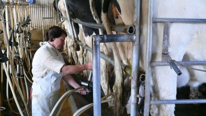 La lechería santafesina, entre la competitividad y la sequía