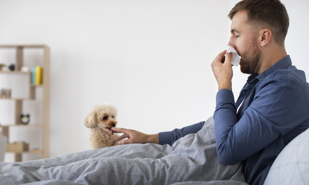 La razón detrás de las alergias a los perros y cómo manejarlas La razón detrás de las alergias a los perros y cómo manejarlas
