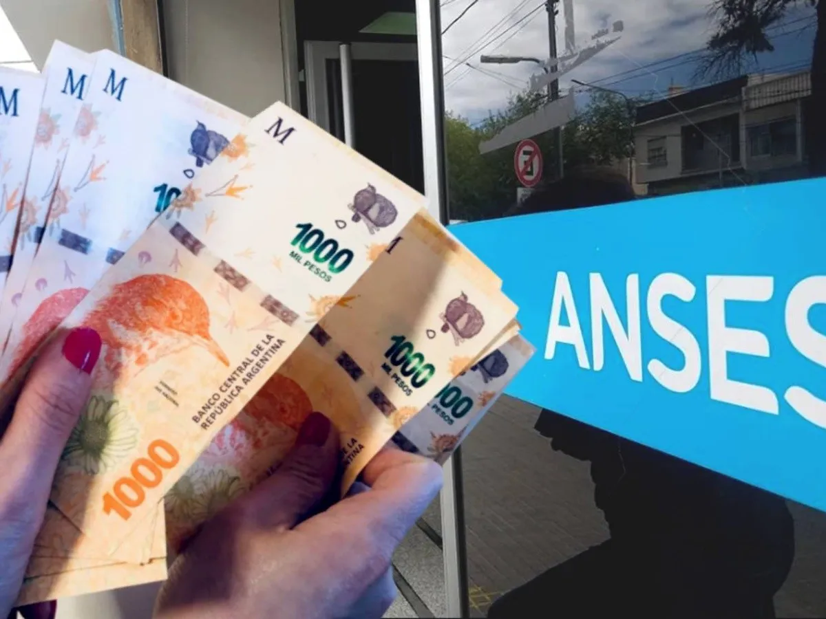 En diciembre habrá una actualización en 10 prestaciones del SUAF ANSES. En diciembre habrá una actualización en 10 prestaciones del SUAF ANSES.