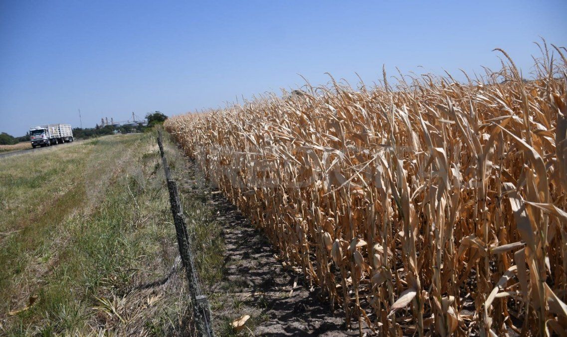 Según el funcionario nacional