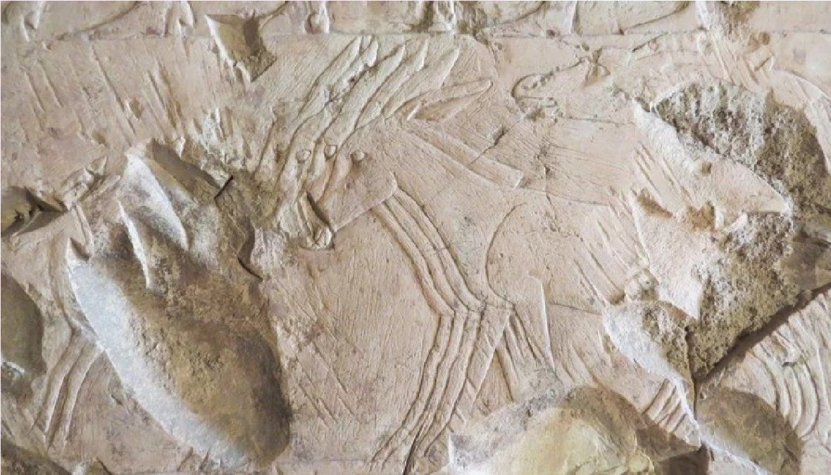 Investigadoras argentinas registran doce tumbas de 6.000 años de antigüedad en Catamarca