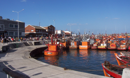 Que hacer en el Puerto de Mar del Plata Que hacer en el Puerto de Mar del Plata