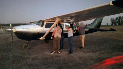 Panes de cocaína con la cabeza de un toro y una avioneta narco en extraño vuelo