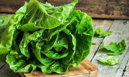 Los mejores consejos para guardar la lechuga y que te dure más tiempo. Los mejores consejos para guardar la lechuga y que te dure más tiempo.