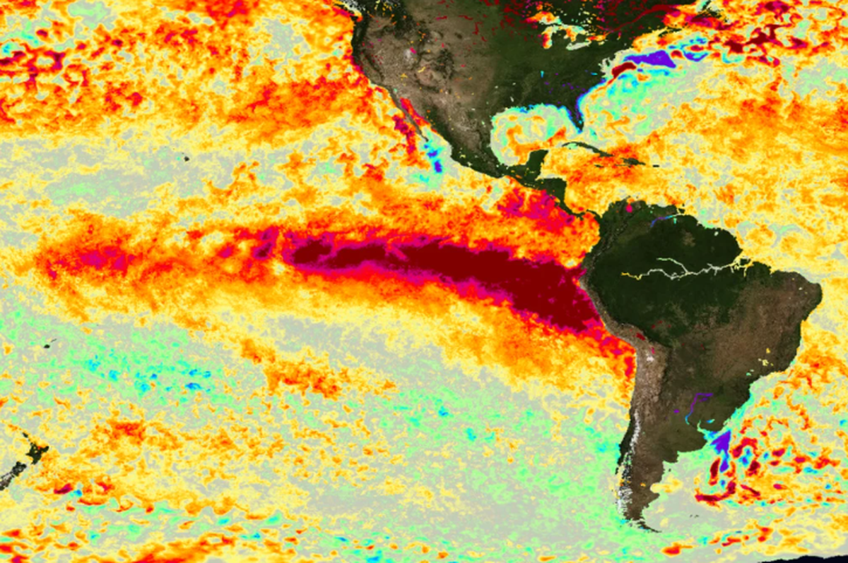 Imágenes satelitales permiten realizar un seguimiento de las anomalías en la temperatura del Océano Pacífico Ecuatorial, factor clave para el posible desarrollo del Fenómeno del Niño. Imágenes satelitales permiten realizar un seguimiento de las anomalías en la temperatura del Océano Pacífico Ecuatorial, factor clave para el posible desarrollo del Fenómeno del Niño.