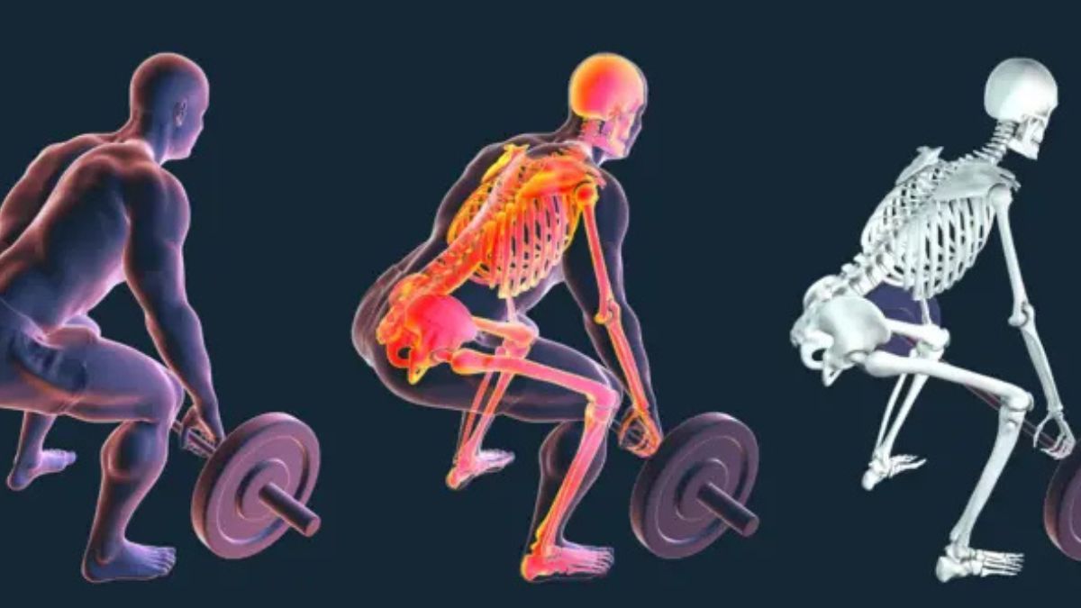 Los huesos le dan estructura a nuestro cuerpo y albergan la médula ósea. Los huesos le dan estructura a nuestro cuerpo y albergan la médula ósea. 