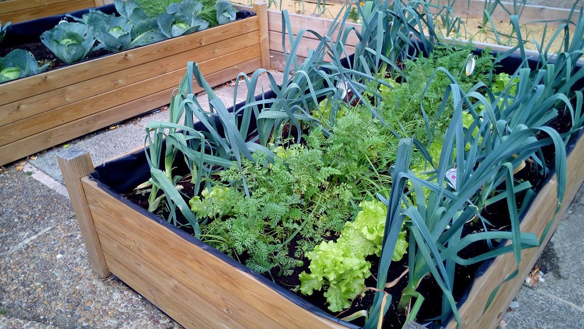 Se habilitar&aacute; una plataforma para que los interesados en recibir el kit puedan anotarse.&nbsp;