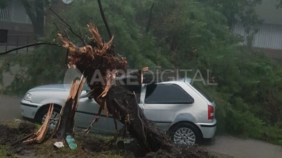 Un árbol cayó encima de un auto en Vera.