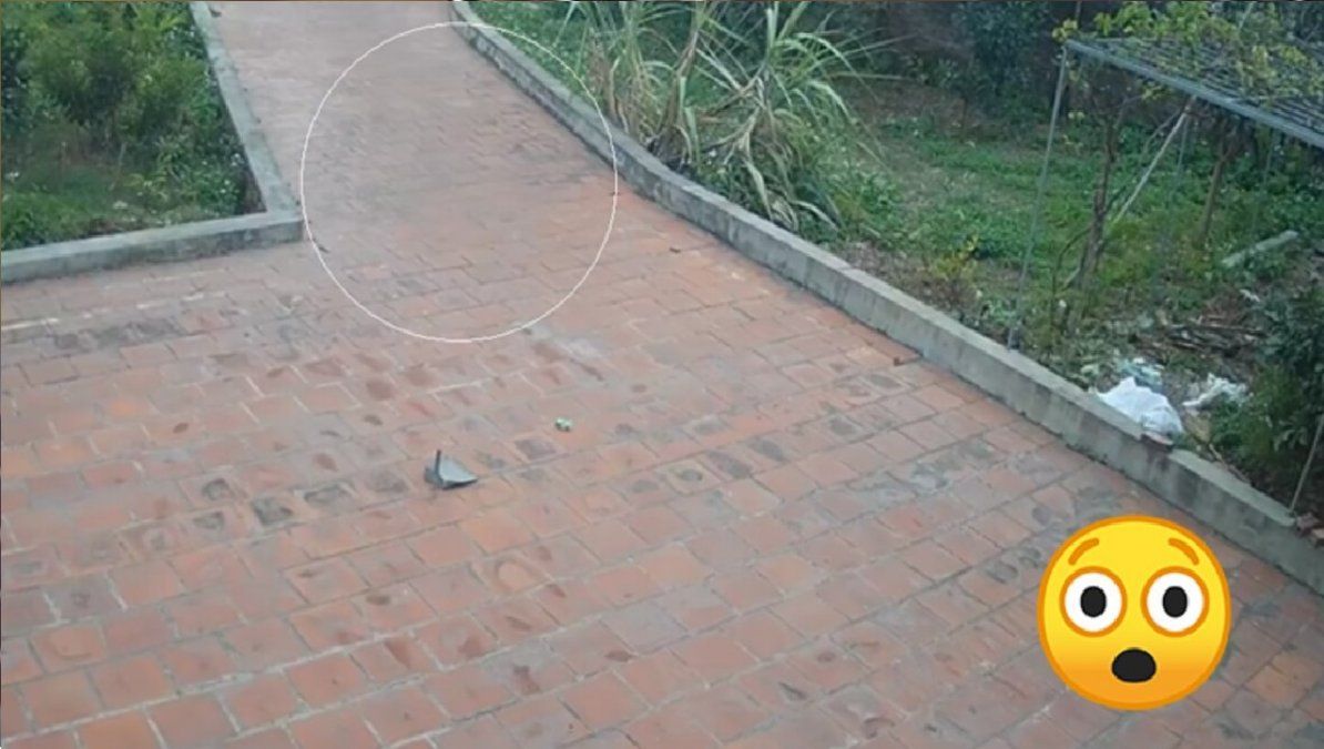 Una cámara de seguridad captó un fantasma en el patio de una casa