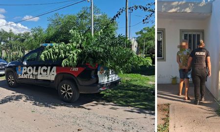 Una denuncia por violencia de género en Sauce Viejo derivó en el hallazgo de plantas de cannabis. Una denuncia por violencia de género en Sauce Viejo derivó en el hallazgo de plantas de cannabis.