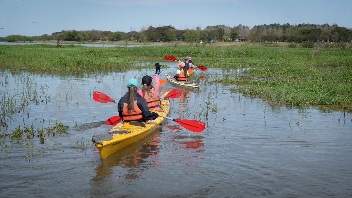 Çayastá cuenta con una amplia variedad de servicios: pesca, kayaks, visitas guiadas y campings. Çayastá cuenta con una amplia variedad de servicios: pesca, kayaks, visitas guiadas y campings.