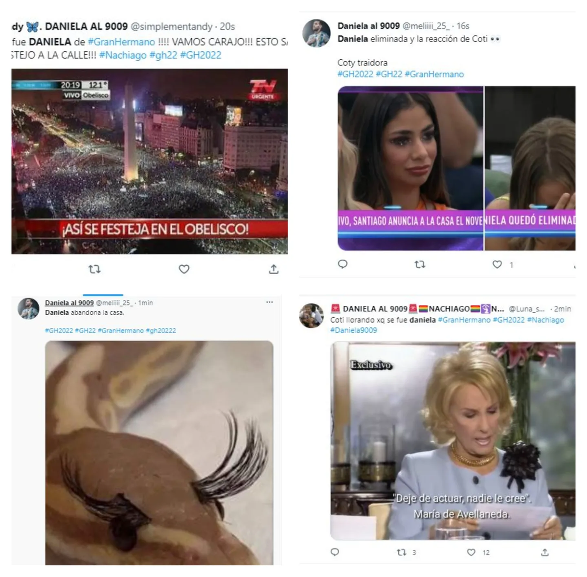 Las redes estallaron con los memes tras la salida de Danilea abandonó la casa de Gran Hermano. (Capturas de Twitter)