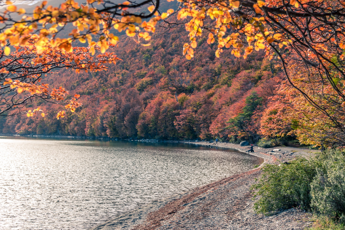 Parque Nacional Tierra del Fuego