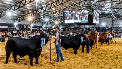 La ganadería se viste de fiesta: llega otra edición de Las Nacionales a Corrientes