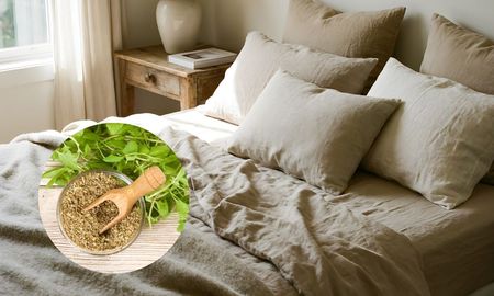 Colocar orégano en la cama atrae buena energía. Colocar orégano en la cama atrae buena energía.
