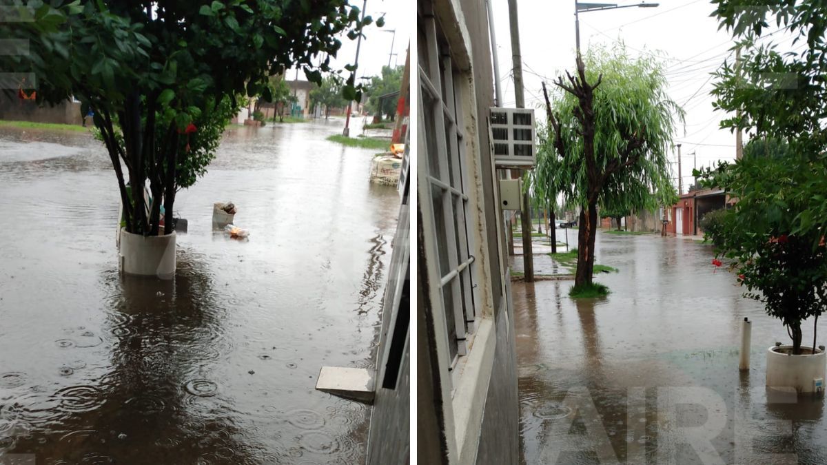 Pedro Zenteno y de Lamadrid. Pedro Zenteno y de Lamadrid.