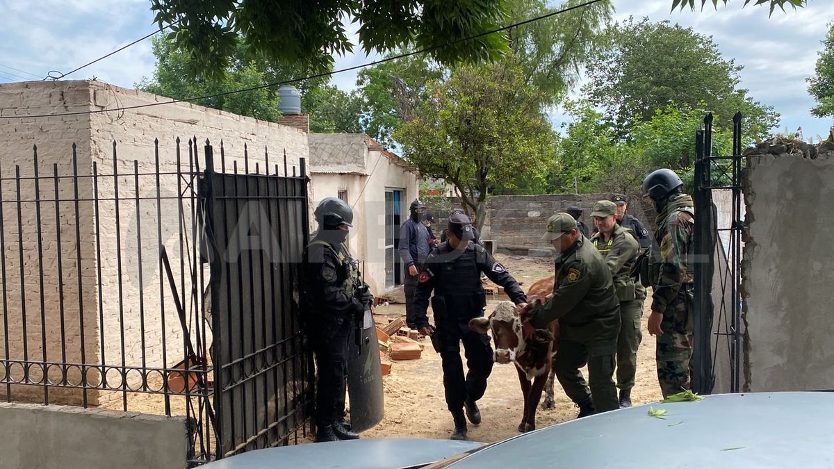 Los animales fueron hallados en una vivienda ubicada en Neuquén al 6900, en el noroeste de la ciudad de Santa Fe.