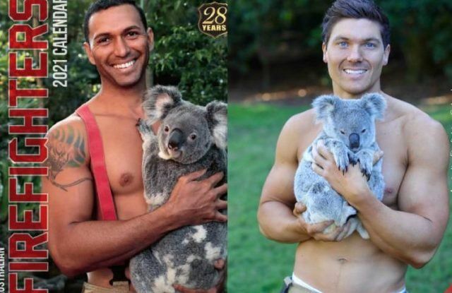 Bomberos australianos recaudan fondos tras los incendios que afectaron a miles de animales.