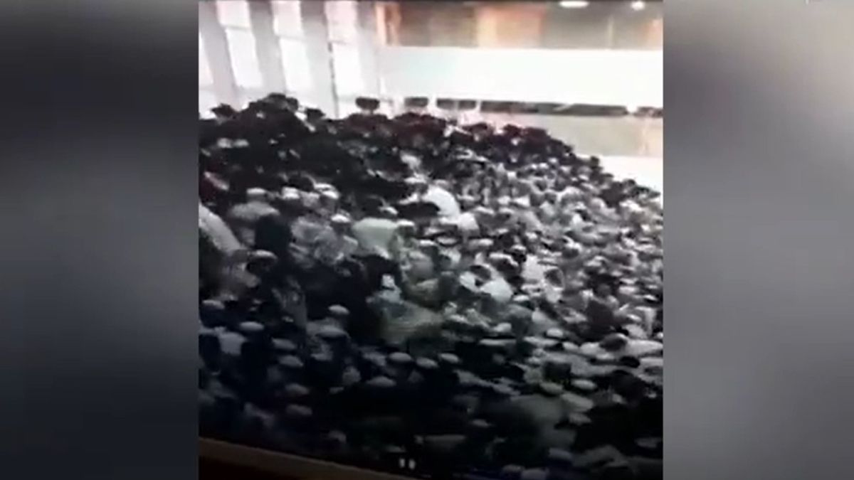 Centenares de fieles se habían reunido en la sinagoga para festejar el Shavuot (Pentecostés) cuando las gradas cedieron ante el peso de los asistentes.